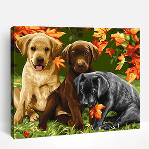 Dogs & Puppies | Paint By Numbers