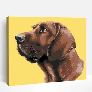 Redbone Coonhound | Paint By Numbers