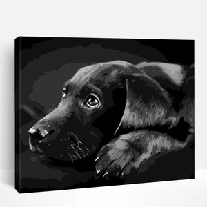 Dogs & Puppies | Paint By Numbers