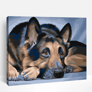 German Shepherd Resting | Paint By Numbers