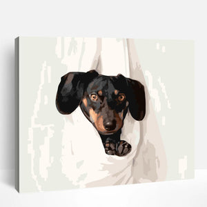 Dachshund | Paint By Numbers