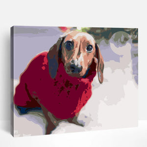 Dog in Red Swetter | Paint By Numbers