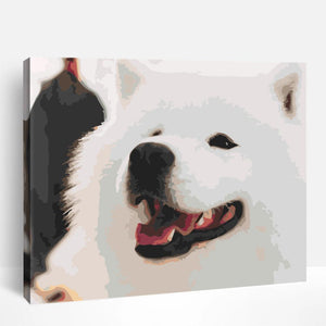 Samoyed Smile | Paint By Numbers