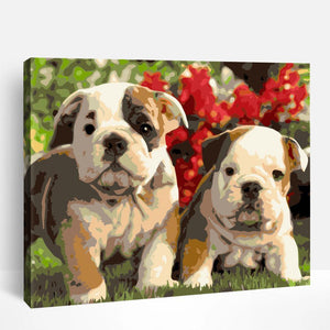 Cute English Bulldog Puppies | Paint By Numbers