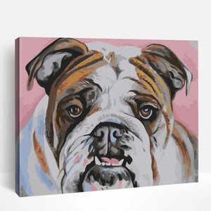 English Bulldog Portrait | Paint By Numbers