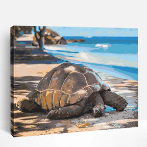 Majestic Tortoise | Paint By Numbers