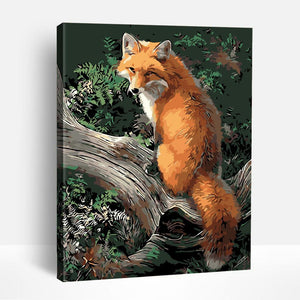 Forest Fox | Paint By Numbers