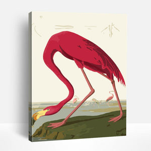 Flamingo Drinking | Paint By Numbers