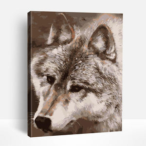 Wolf Portrait | Paint By Numbers