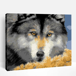 Wolf's Gaze | Paint By Numbers