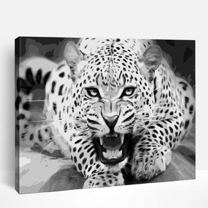 Black and White Leopard Stare | Paint By Numbers