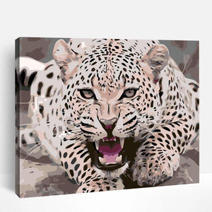 Fierce Leopard Stare | Paint By Numbers