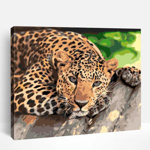 Leopard Resting | Paint By Numbers