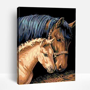 Horse and Foal | Paint By Numbers