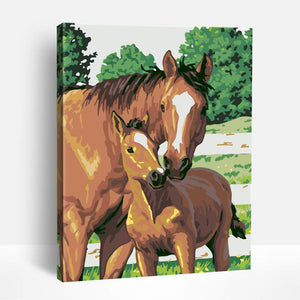 Horse Family | Paint By Numbers