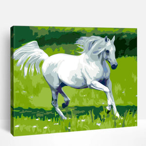 Galloping White Horse | Paint By Numbers