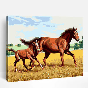 Foal and Horse | Paint By Numbers