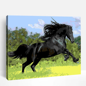 Galloping Black Horse | Paint By Numbers