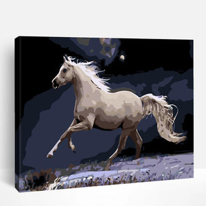 White Stallion Galloping | Paint By Numbers