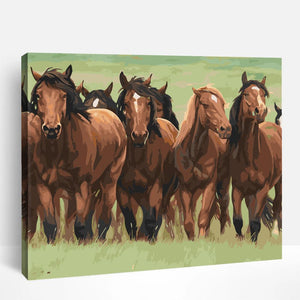 Horse Herd | Paint By Numbers