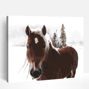 Horse in Snow | Paint By Numbers