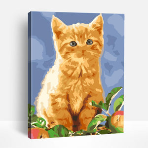 Orange Tabby | Paint By Numbers