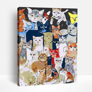 Cats & Kitties | Paint By Numbers