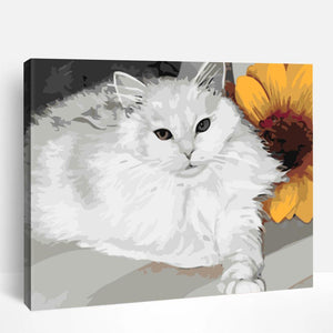 Cats & Kitties | Paint By Numbers