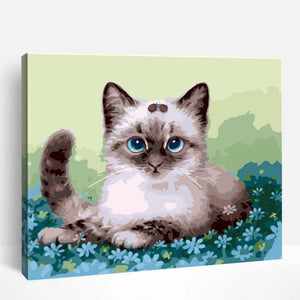 Siamese Kitten | Paint By Numbers