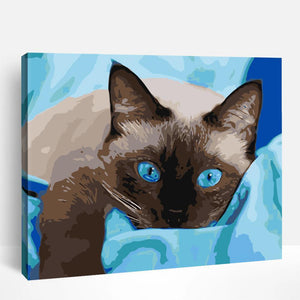 Siamese Blue-eyed Cat | Paint By Numbers