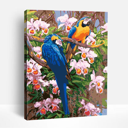 Parrots | Paint By Numbers