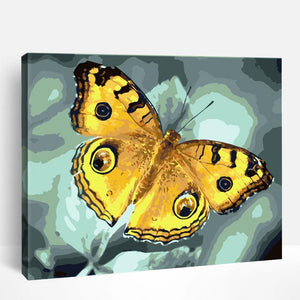 Golden Monarch Butterfly | Paint By Numbers