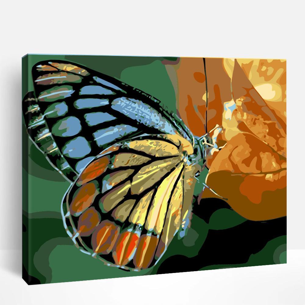 Butterflies | Paint By Numbers