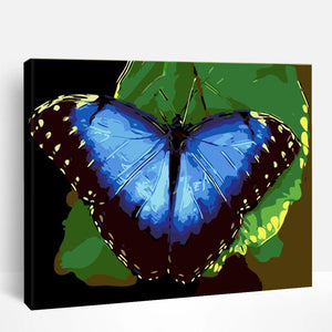 Blue Butterfly | Paint By Numbers