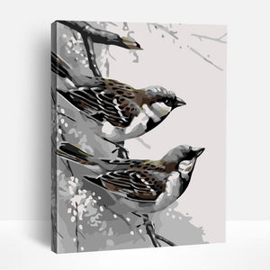 Sparrows | Paint By Numbers