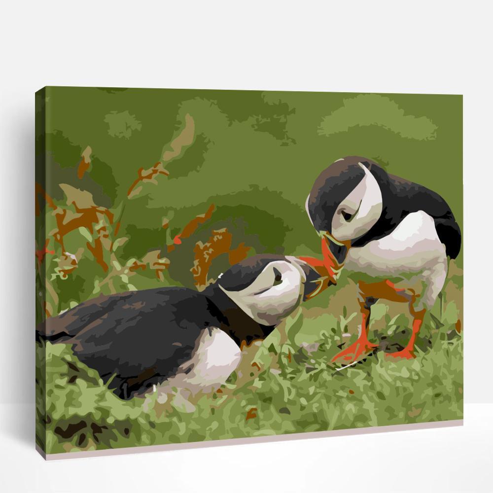 Birds | Paint By Numbers