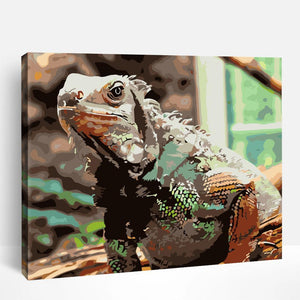 Iguana | Paint By Numbers