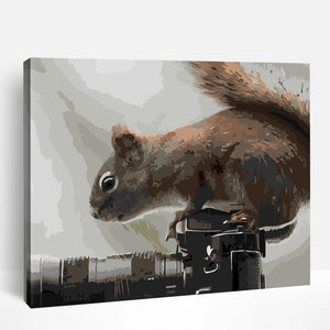 Squirrel on a Branch | Paint By Numbers