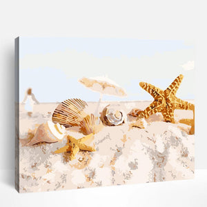 Seashells Fun | Paint By Numbers