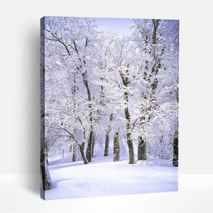 Winter Forest | Paint By Numbers